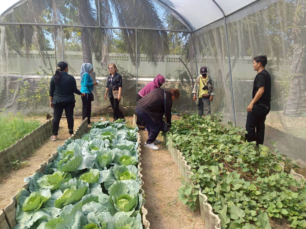 title - ศกร. ร่วมกับ ส.ป.ก.อยุธยา ติวเข้มเกษตรกร ชูโมเดล “โรงอบเคลื่อนที่ - ผัก 3 โลก - มันญี่ปุ่น” เพิ่มทางเลือกสร้างรายได้ในเขตปฏิรูปที่ดิน